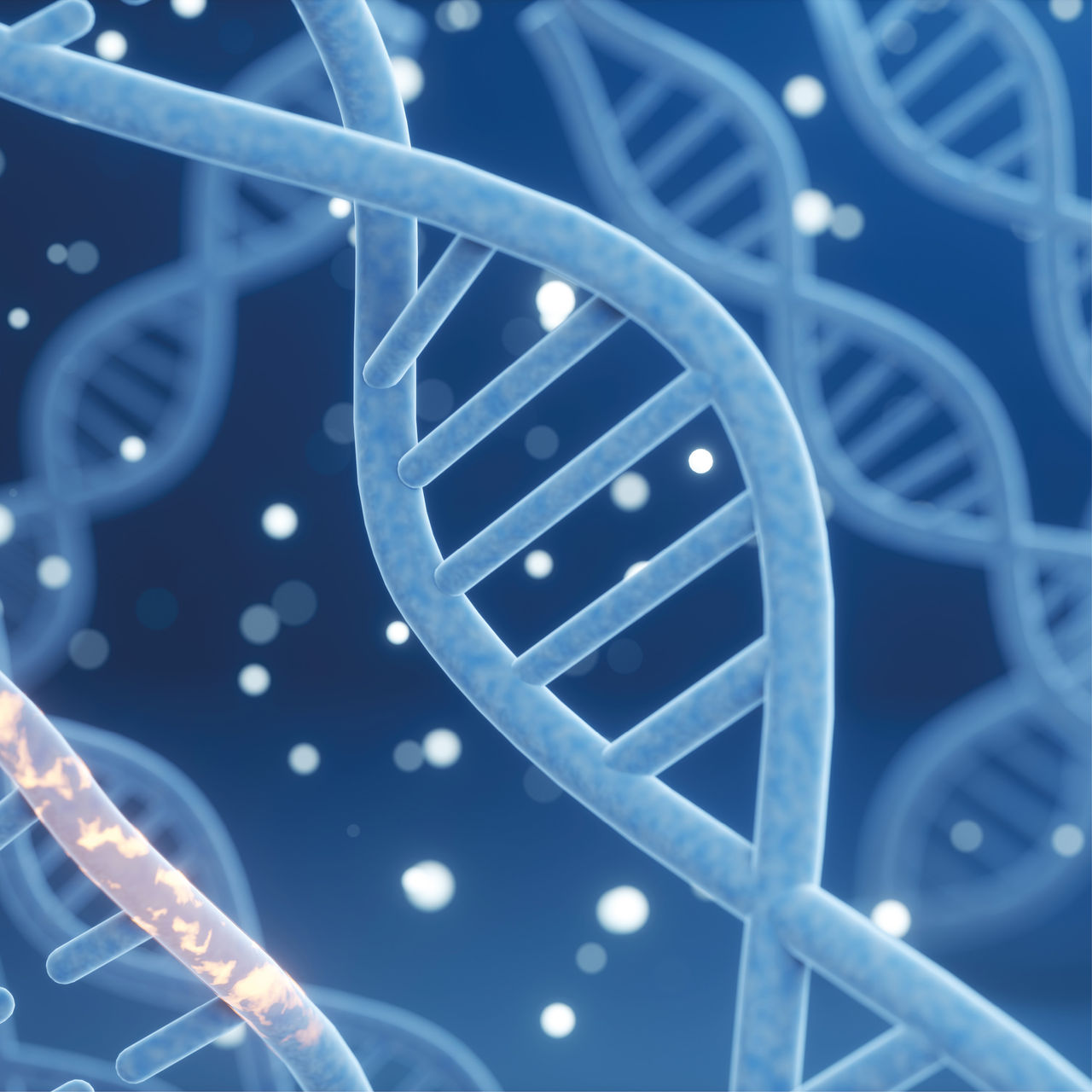 Box_molecular-diagnostics.jpg